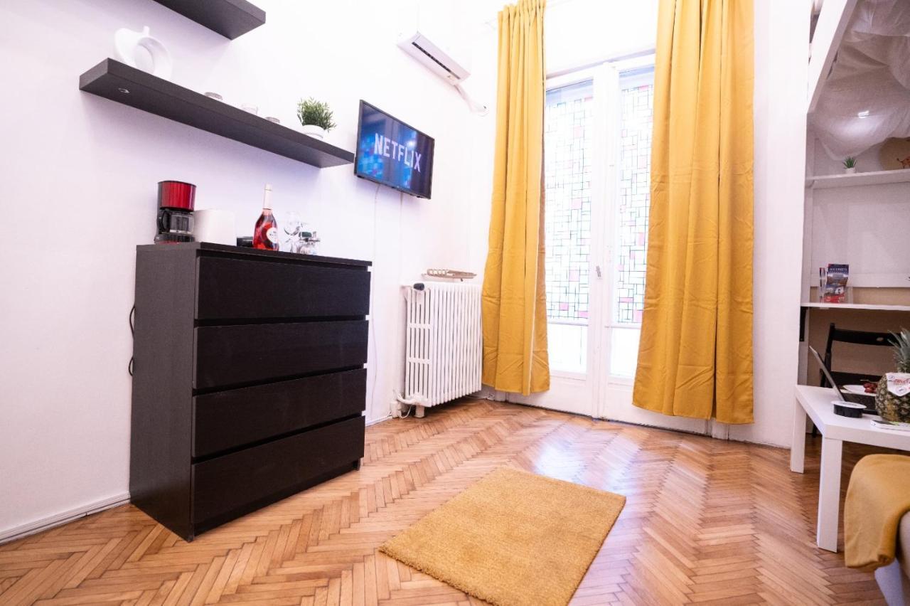 Cozy Studio Cismigiu Garden Apartment บูคาเรสต์ ภายนอก รูปภาพ